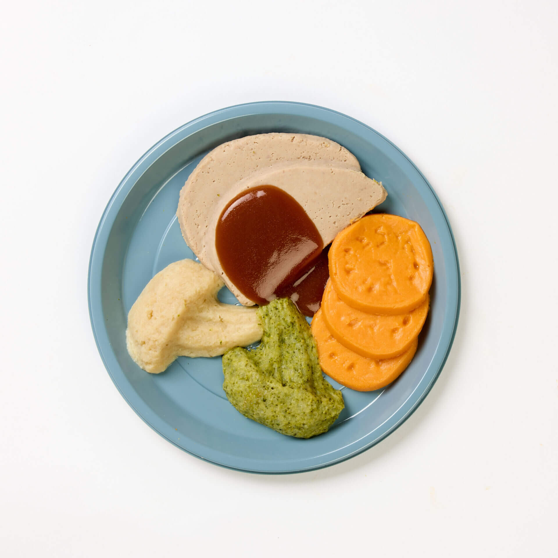 level 5 roast pork and vegetables pre-plated meal