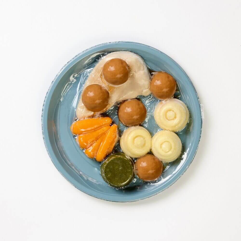 level 5 roast chicken and vegetables pre-plated meal