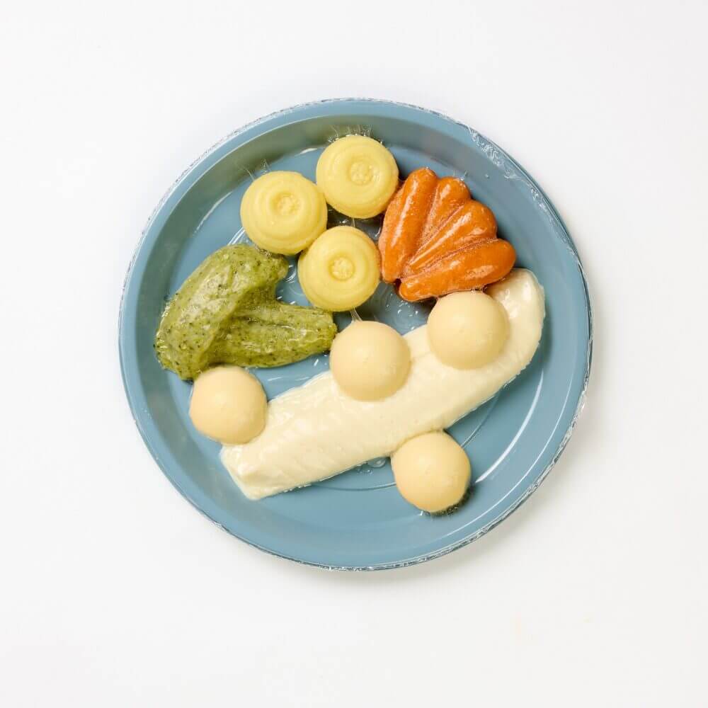 Fish Fillet (PU4) with Broccoli, Carrot, Mashed Potato & White Sauce - Minced & Moist - Image 2