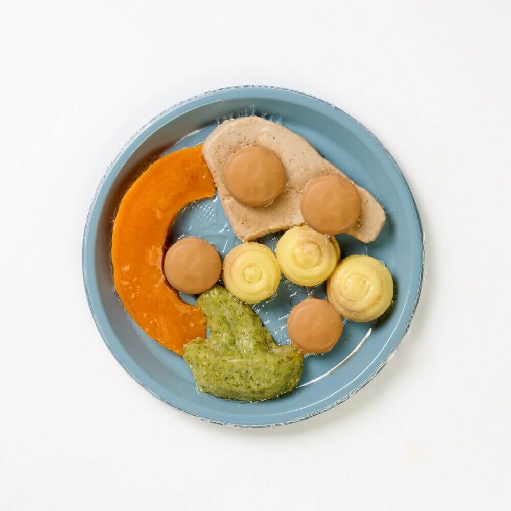 Pork Chop with Broccoli, Pumpkin, Mashed Potato & Mushroom Sauce - Minced & Moist - Image 2