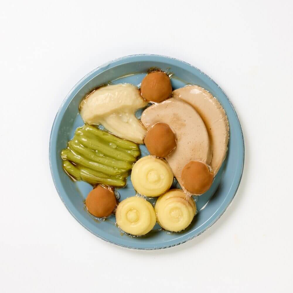 Roast Pork with Green Beans, Cauliflower, Mashed Potato & Classic Gravy - Pureed - Image 3