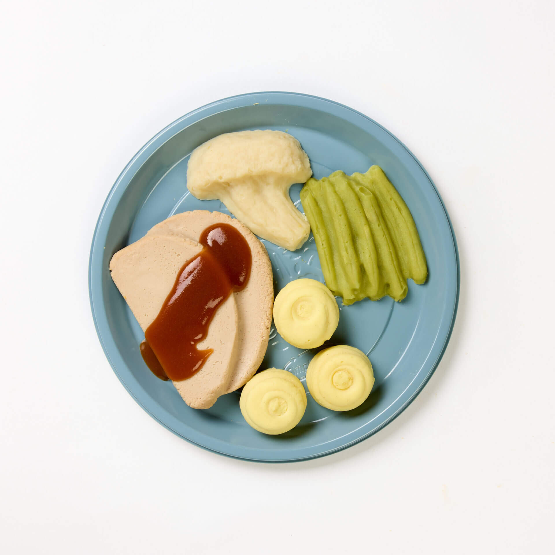 level 4 roast pork and vegetables pre-plated meal