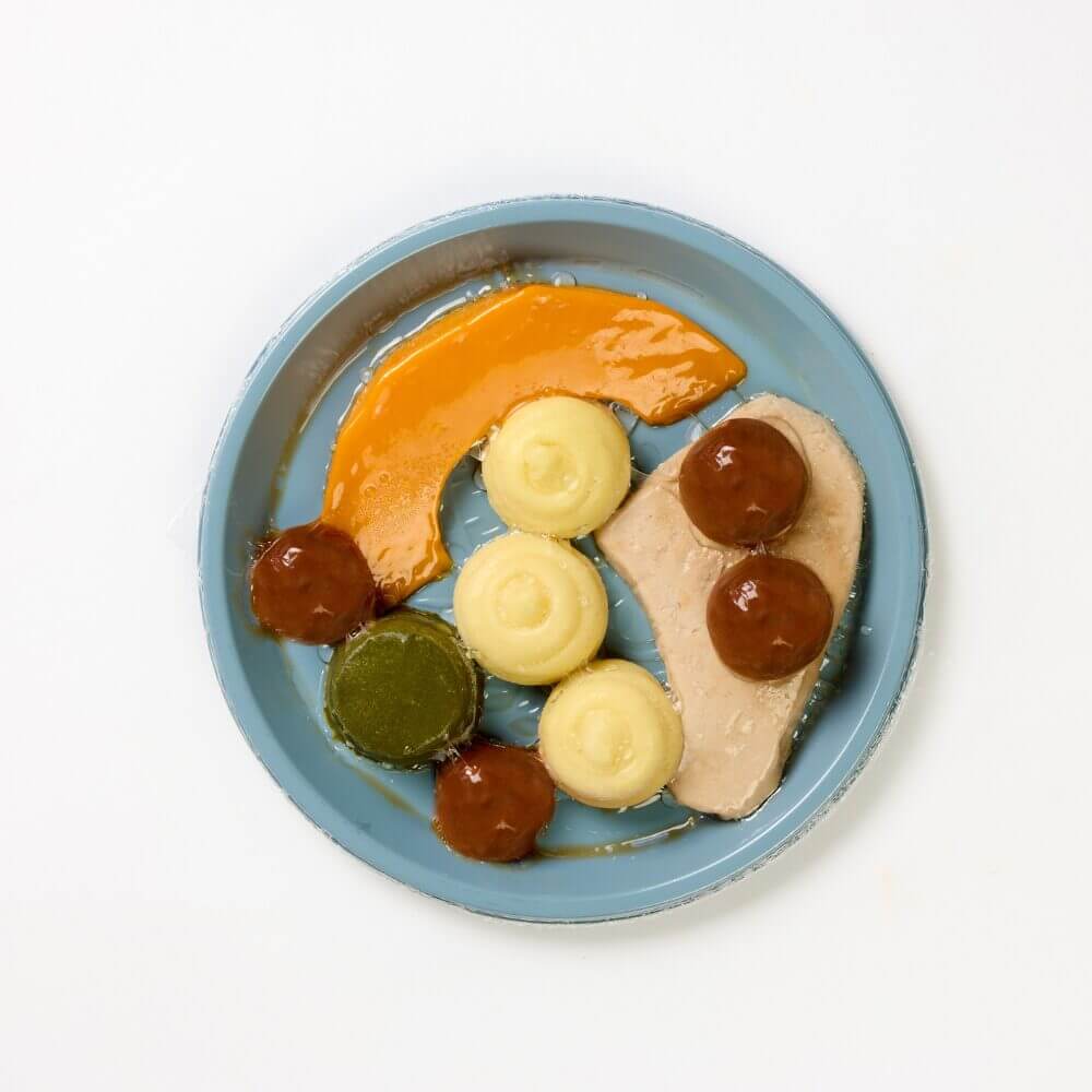 Pork Chop with Spinach, Pumpkin, Mashed Potato & BBQ Sauce - Pureed - Image 2