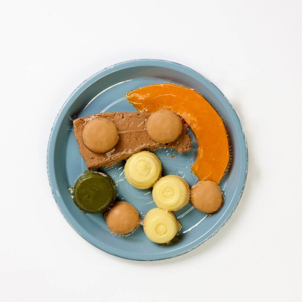 Sirloin Steak with Pumpkin, Spinach, Mashed Potato & Mushroom Sauce - Pureed - Image 3